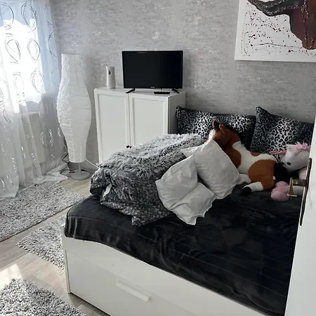 Apartament Und Kunstgalerie Kranichfeld